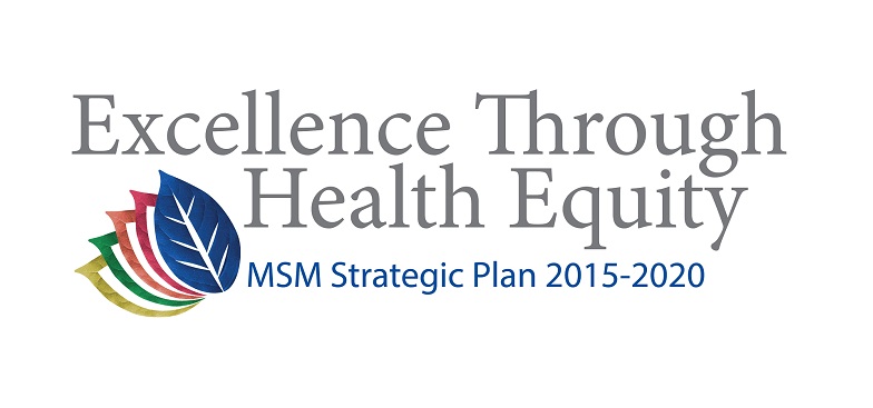 Ҵý School of Medicine Strategic Plan