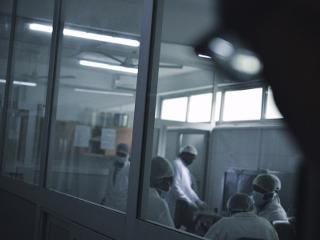 the view of a group wearing surgical masks from outside the room's windows